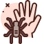 tarantula-hand-touch-icon
