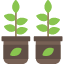 isometric-modern-money-object-office-plant-tree-icon-vector-design-icons-icon