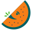 redmelon-icon