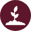 plant-agronomy-crop-planting-sapling-sprout-icon-icon