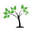 ecology-flower-nature-plant-tree-icon