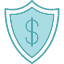 cash-dollar-finance-money-protection-secure-shield-icon