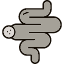 anatomy-bowel-digestion-intestine-small-icon-vector-design-icons-icon