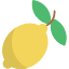 food-fruit-fruits-healthy-lemon-icon