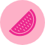 food-fruit-healthy-melon-vitamins-water-icon