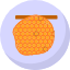 beehive-icon