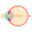 vision-eyeball-eye-focus-light-eyesight-icon