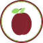 food-fresh-fruit-plum-plums-purple-fruits-and-vegetables-icon