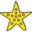 beach-fish-sea-star-starfish-summer-icon