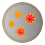 virus-bacteria-covid-disease-icon