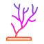 colony-coral-invertebrate-marine-polyp-reef-staghorn-icon