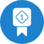 achievement-award-badge-games-honor-medal-trophy-icon
