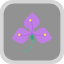 anthurium-flower-natural-aromatic-plant-rose-iris-flowers-icon