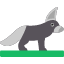 animal-art-cartoon-character-cute-fennec-fox-icon