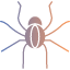 dangerous-insect-poison-spider-tarantula-wildlife-icon
