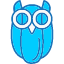 owl-bird-night-nighttime-wisdom-wise-icon