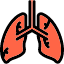 body-human-internal-lungs-organ-respiratory-system-icon