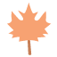 maple-leaf-floral-spring-nature-autumn-fall-tree-canada-plant-foliage-botanical-icon