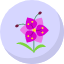 blossom-flower-nature-orchid-plant-tropical-flowers-icon