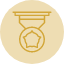 gold-medal-award-first-prize-reward-trophy-icon