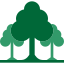environment-flora-forest-nature-single-tree-multiple-icon