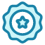 badge-award-medal-achievement-winner-star-reward-icon