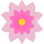 sakura-flower-blossom-spring-nature-season-icon-festival-icon
