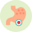 stomach-cancer-brain-disease-gut-intestines-kidneys-icon