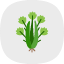 celery-food-healthy-organic-vegan-vegetable-vegetarian-icon