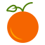 orange-fruit-autumn-fall-icon