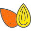 almond-kernel-nut-healthy-snack-food-seed-icon