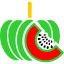 fruit-food-cantaloupe-icon-icon