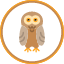 in-the-wild-snowy-owl-bird-predator-winter-icon