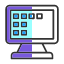 display-icon