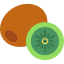 food-healthy-fruit-kiwi-nutritious-diet-summer-fruits-and-vegetables-icon