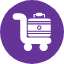 baggage-hotel-luggage-cart-suitcase-icon