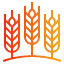 wheat-barley-cereal-farming-plant-icon