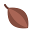 cacao-chocolate-fruit-icon