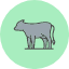 animal-cow-farming-mammal-meat-sq-icon