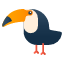 toucan-animal-icon