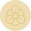 nasturtium-flower-blossom-floral-nature-flowers-icon