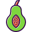 food-fruit-organic-papaya-seeds-tropical-fruits-and-vegetables-icon