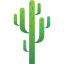 tree-nature-environment-natural-cactus-desert-tropical-icon