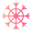 snowflake-ice-snow-christmas-snowflakes-cold-winter-frost-weather-icon