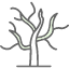 arid-disaster-dry-hot-rainless-sun-tree-icon