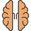 brain-genius-healthcare-mind-people-smart-icon