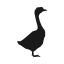 duck-icon