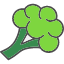 broccoli-food-healthy-organic-vegetable-icon