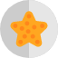 starfish-icon