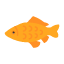 carp-fish-japan-koi-nature-water-icon